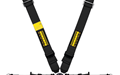 SCHROTH Profi II-FE ASM (bolt-in) black